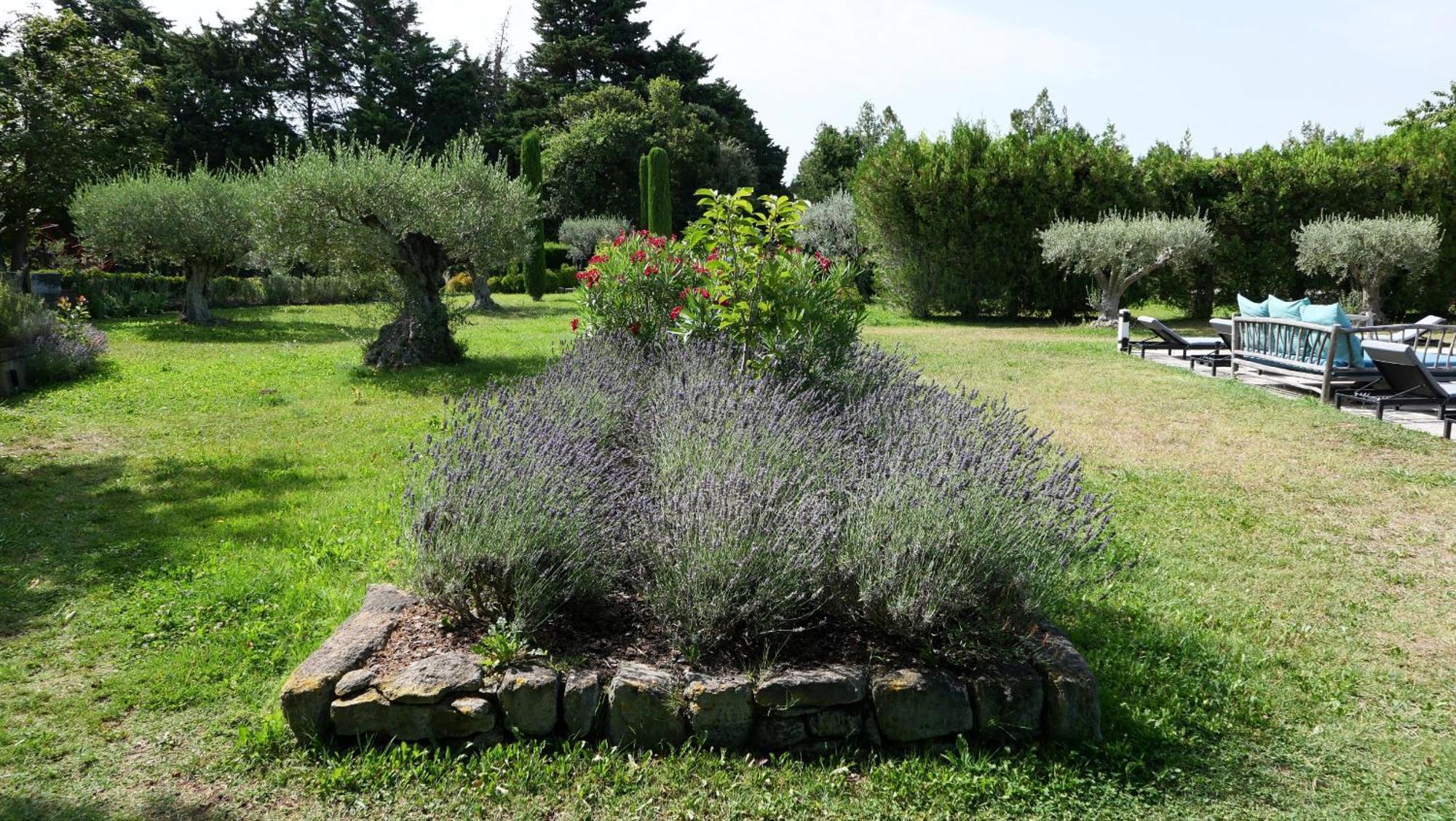 Typical Provencal Farm House Close To L'Isle Sur La Sorgue - 12 Persons Cavaillon Exterior foto