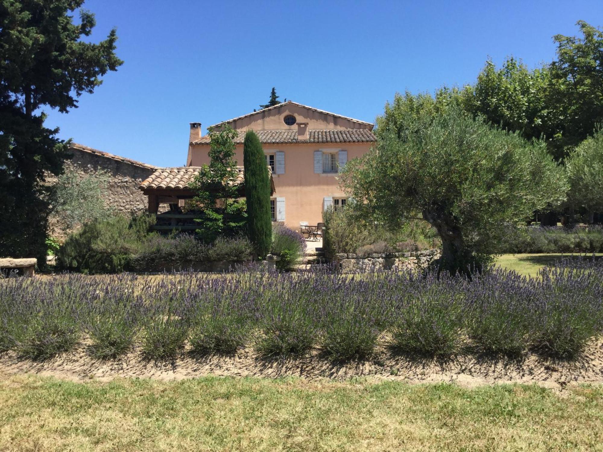 Typical Provencal Farm House Close To L'Isle Sur La Sorgue - 12 Persons Cavaillon Exterior foto