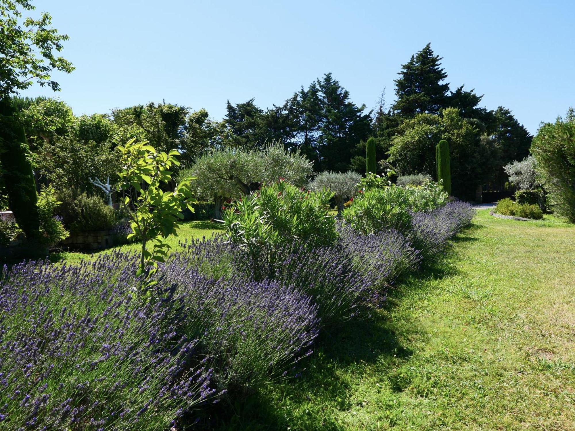 Typical Provencal Farm House Close To L'Isle Sur La Sorgue - 12 Persons Cavaillon Exterior foto