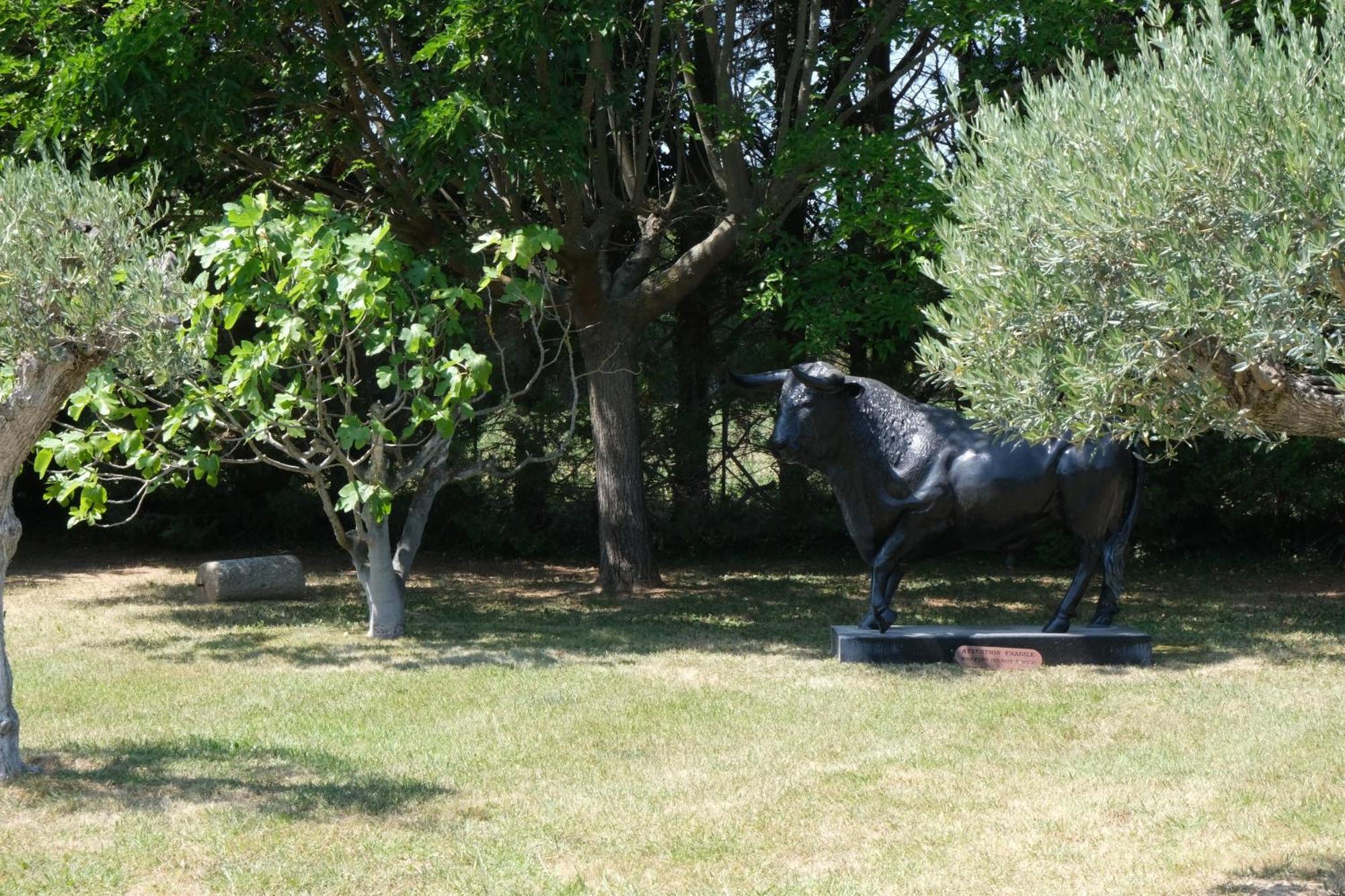 Typical Provencal Farm House Close To L'Isle Sur La Sorgue - 12 Persons Cavaillon Exterior foto