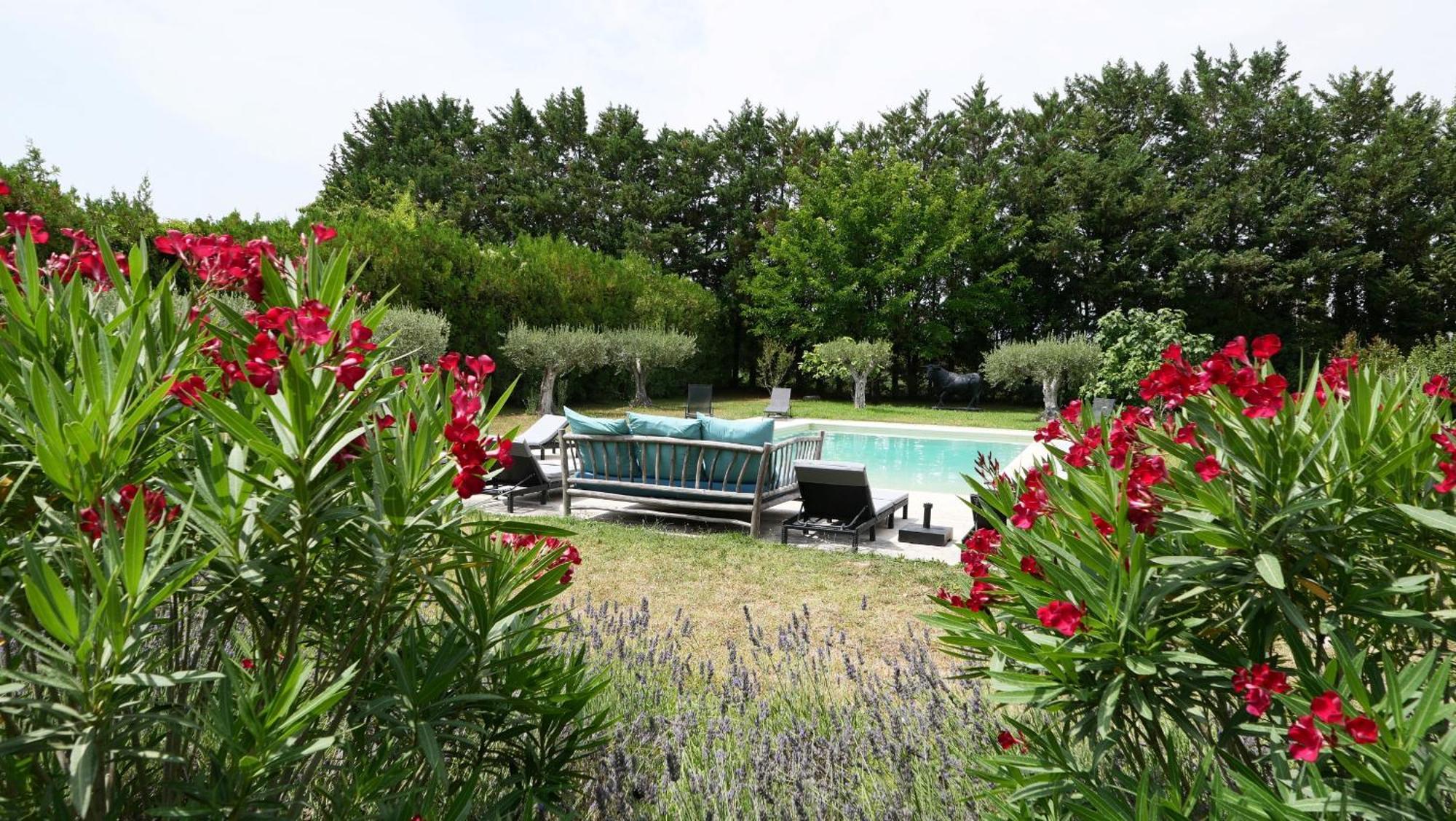 Typical Provencal Farm House Close To L'Isle Sur La Sorgue - 12 Persons Cavaillon Exterior foto