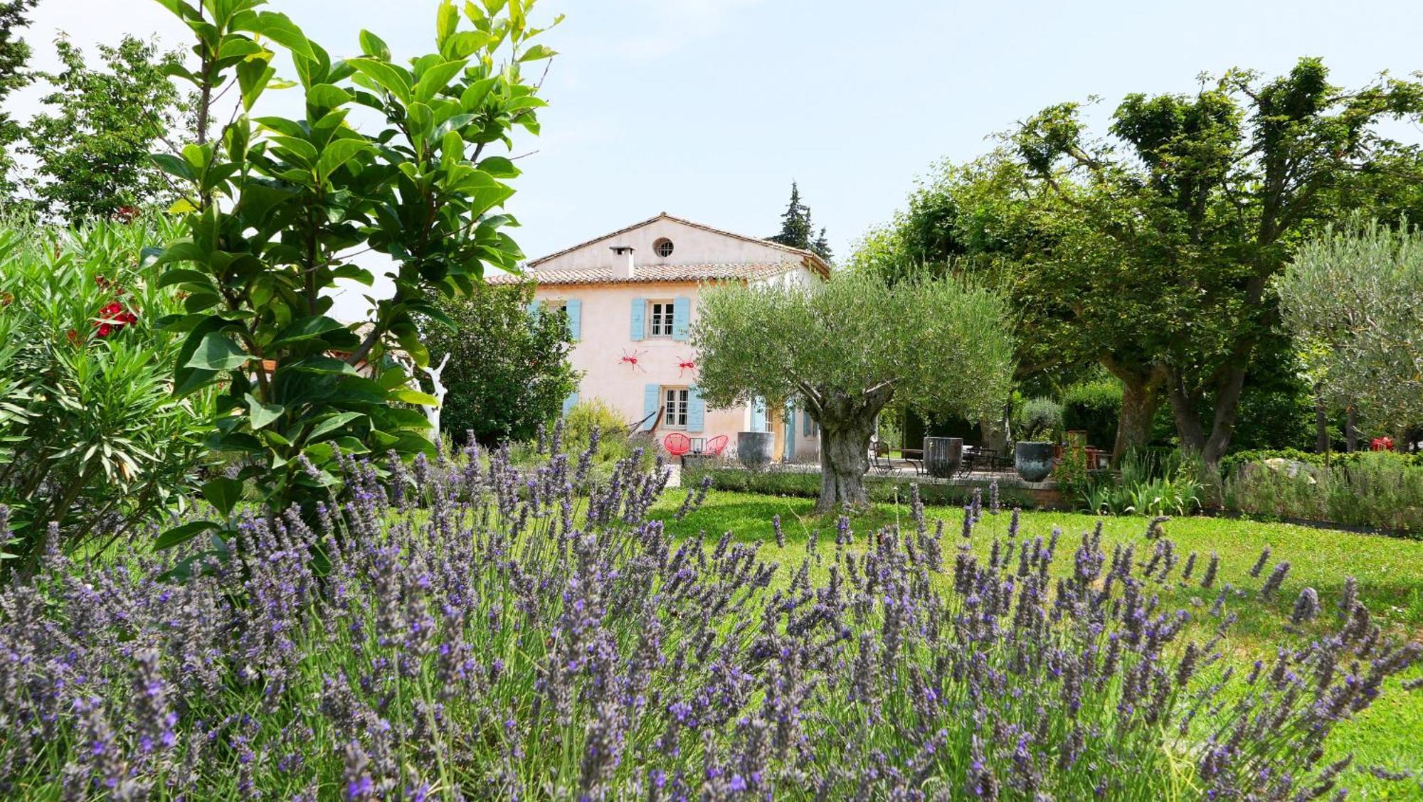 Typical Provencal Farm House Close To L'Isle Sur La Sorgue - 12 Persons Cavaillon Exterior foto